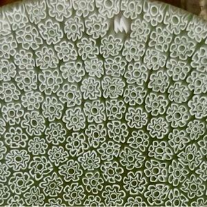 Authentic Original MURANO Glass Bowl Plate Set Millefiore Hand Blown Green White
